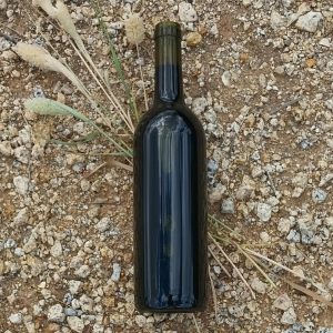 2021 Shiraz - bottle