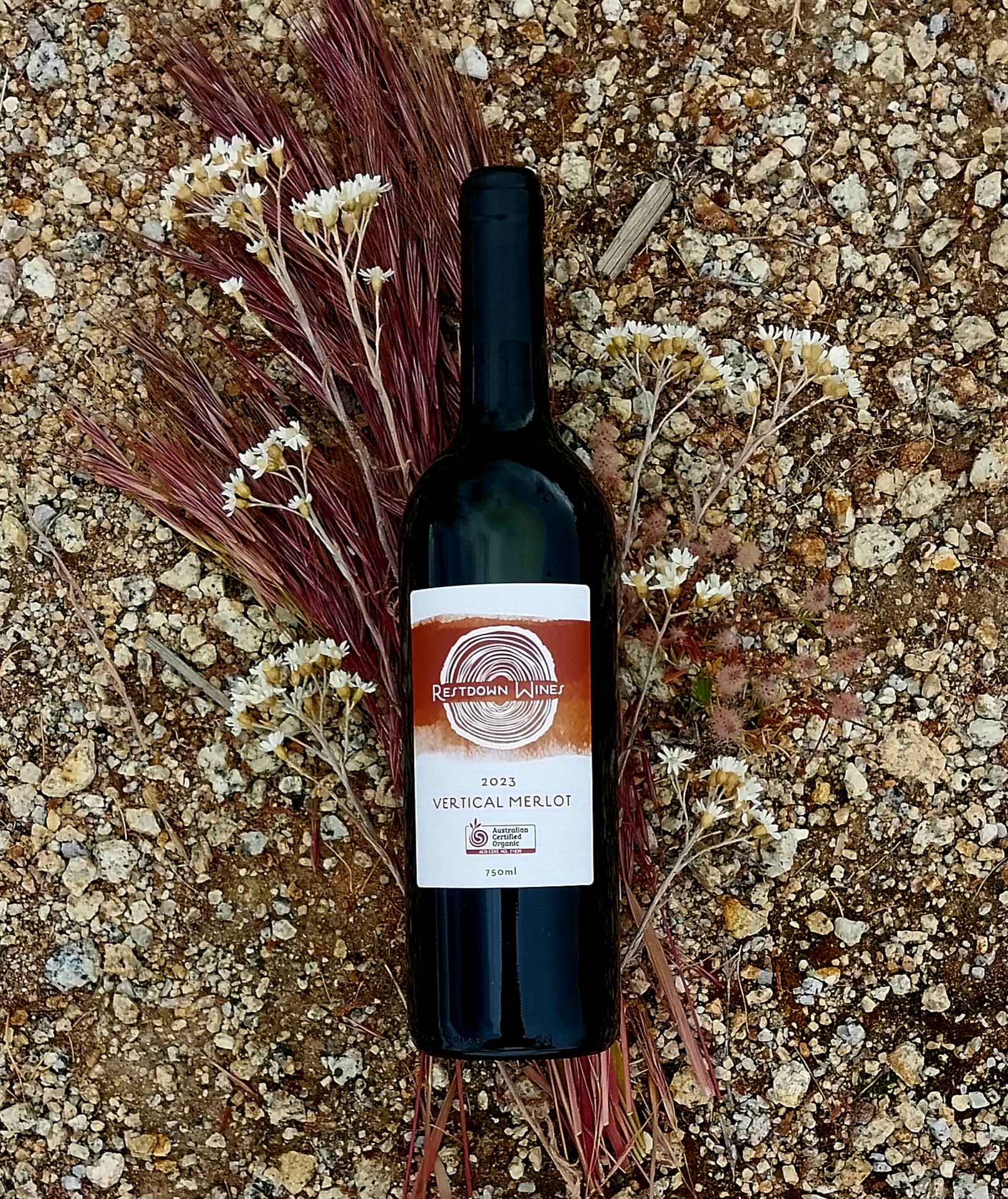 Certified Organic Vertical Merlot